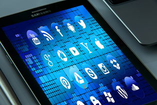 爱游戏入口-体育社交App用户行为路径与交互机制研究，体育用户特点