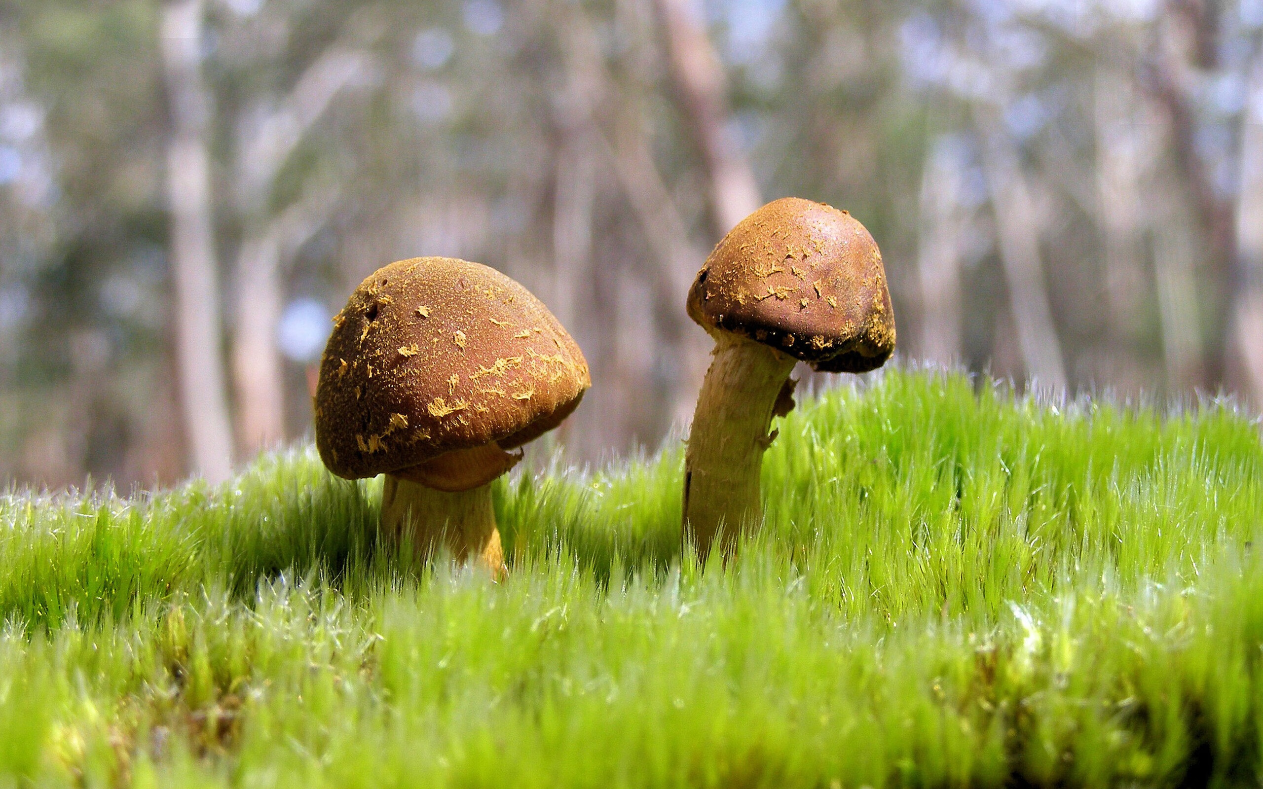 CBA赛场频现绝杀球 引爆观众热情，cba2020-2021绝杀