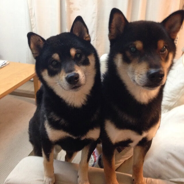 亚冠联赛国家队战平 球员磨合渐入佳境,亚冠参赛国家