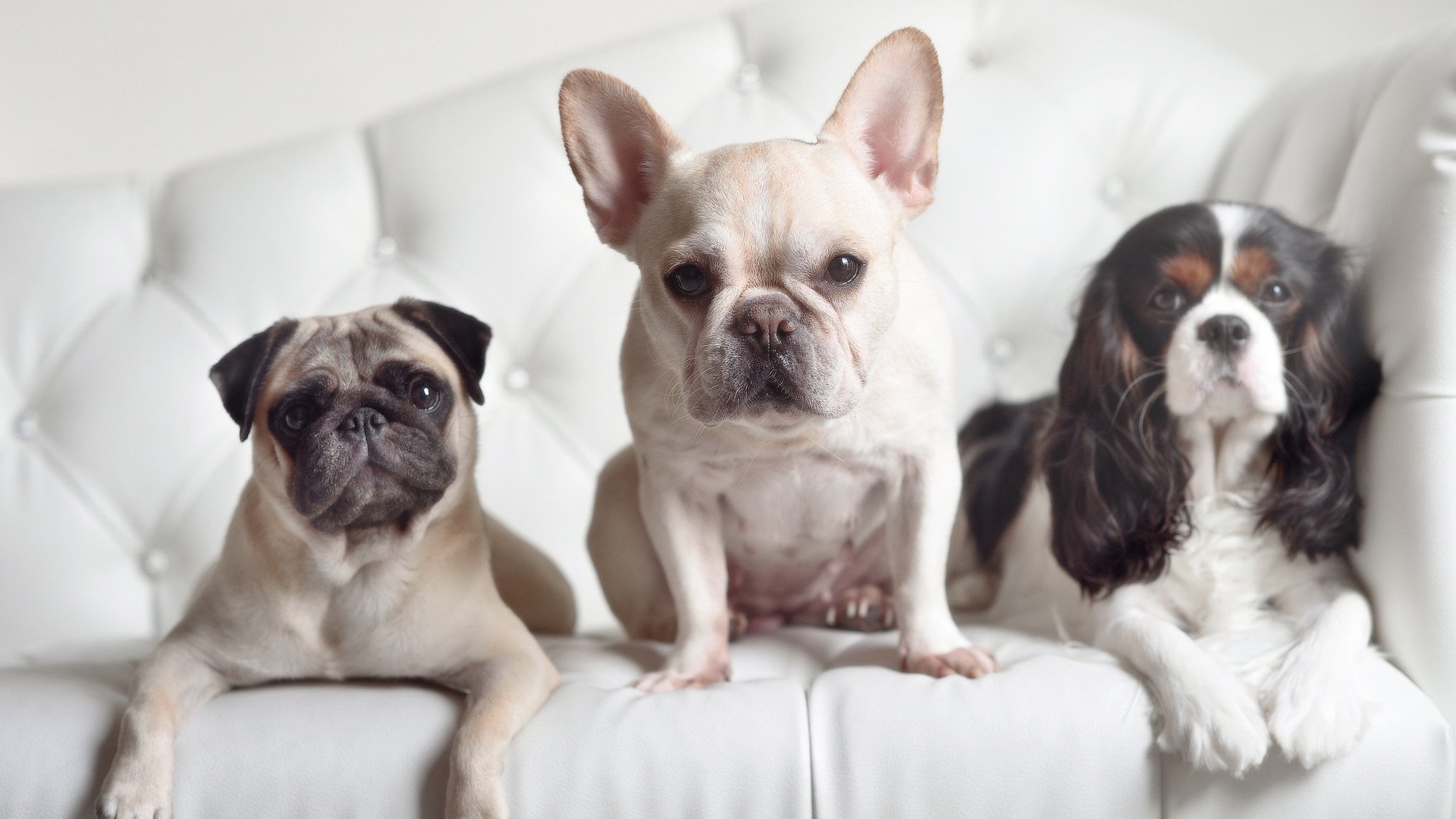 仰泳新秀中立代表队A表现超预期,仰泳s11