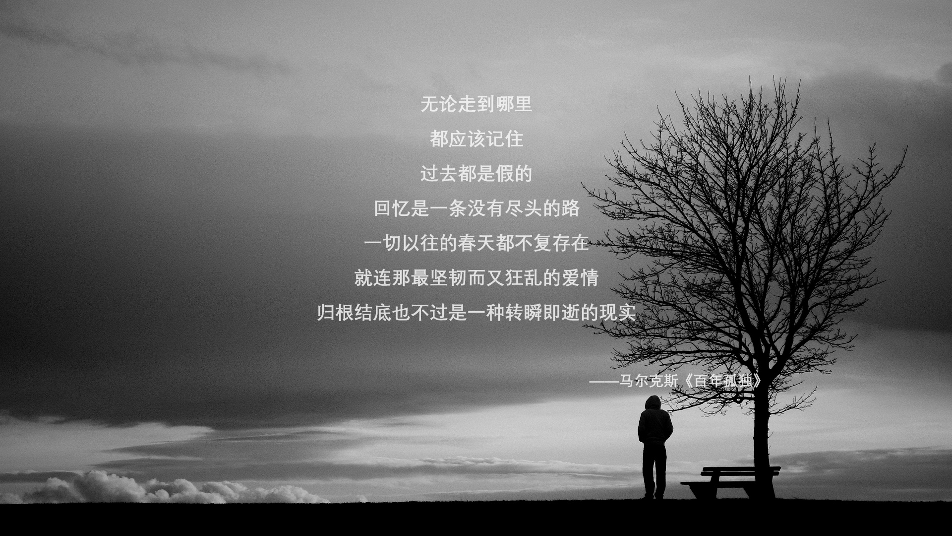 凯蒂·莱德基赛后分享训练心得,凯蒂-莱德基