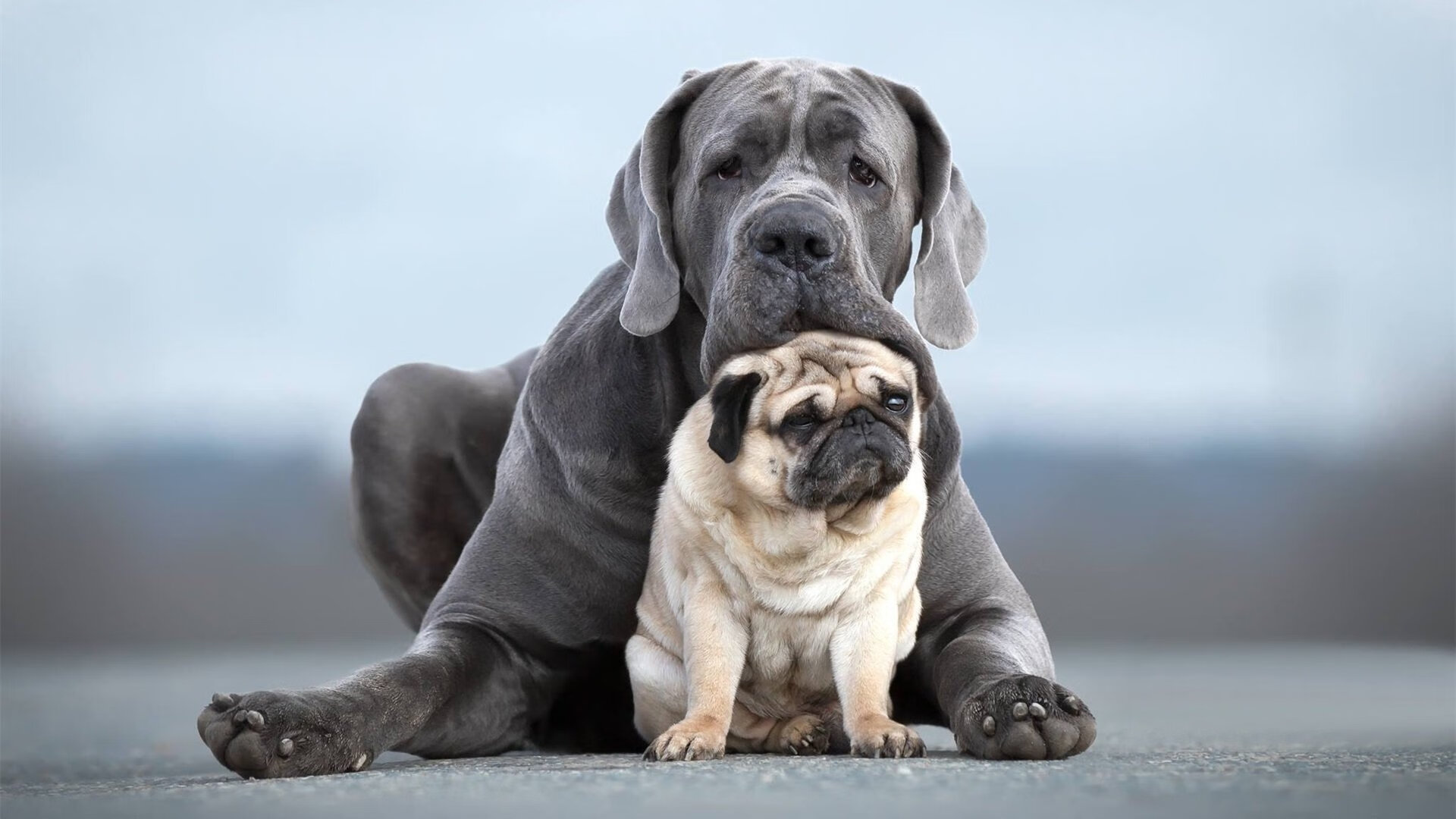 爱游戏入口-新闻中心公开新一届国家体育科技顾问专家名单，国家体育科学协会