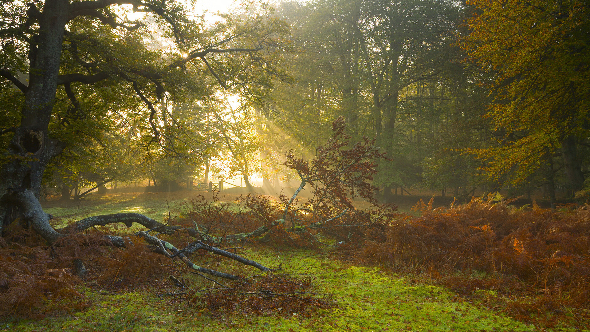 李娜谈网球对性格成长影响深远,李娜网球事例