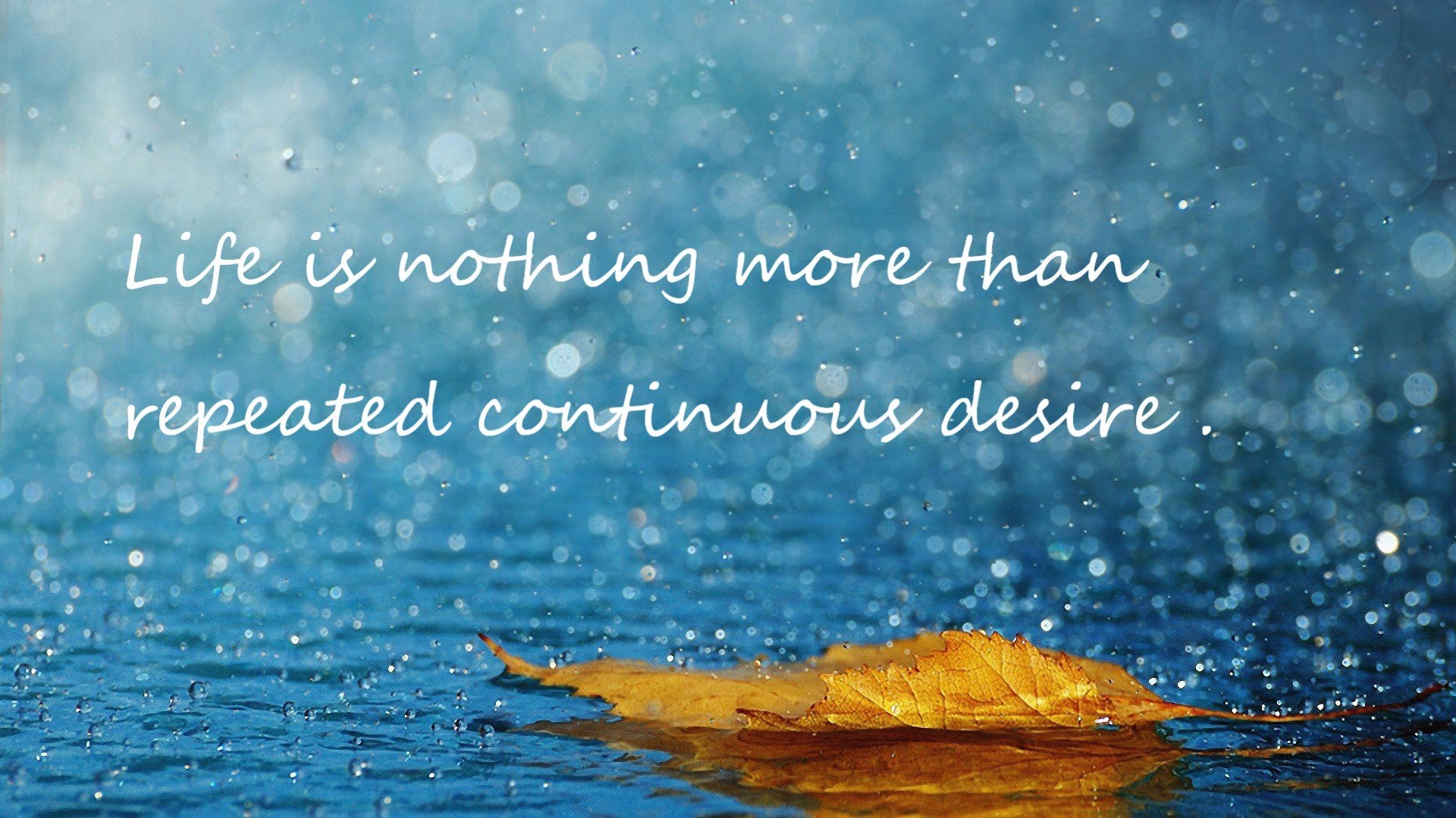 湖人训练场引入全新技术设备提升效率,湖人队的训练场